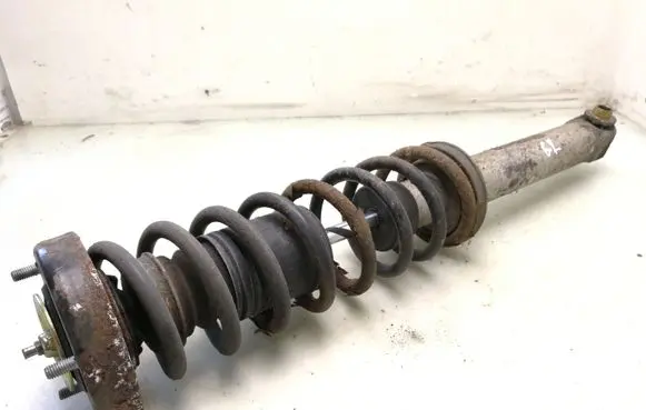 BMW 5 E39 Rear shock absorber with coil spring 1093646