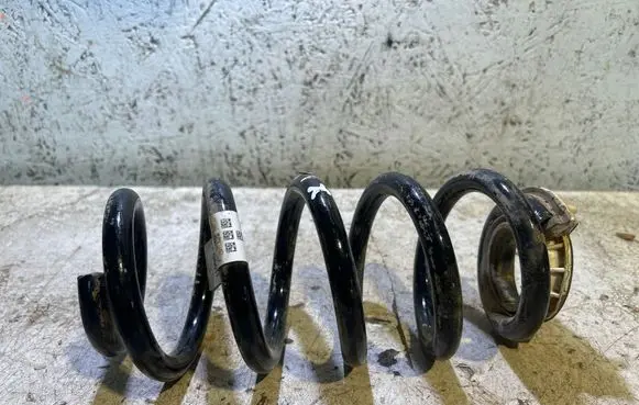 BMW X1 U11 Rear coil spring 8845738 1862403177