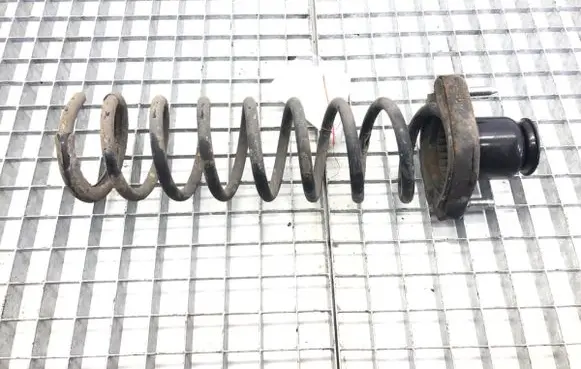 Rear coil spring
