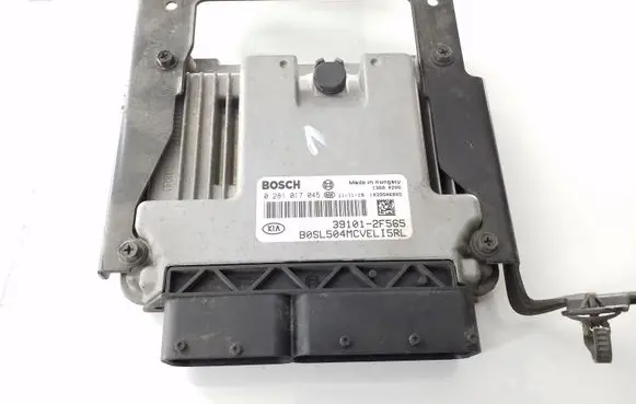 KIA Sportage Engine control unit/module 391012F565 0281017045
