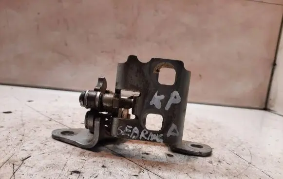 Front door lower hinge