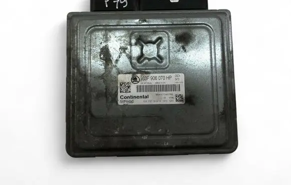 Engine control unit/module ECU