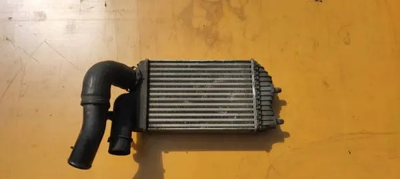 Citroen Jumper Intercooler radiator 1307012080