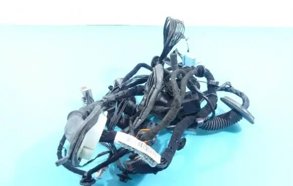 Front door wiring loom