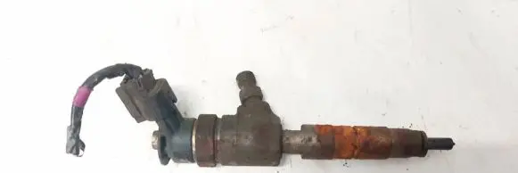 Ford Fiesta Fuel injector 0445110489 f77f4018er