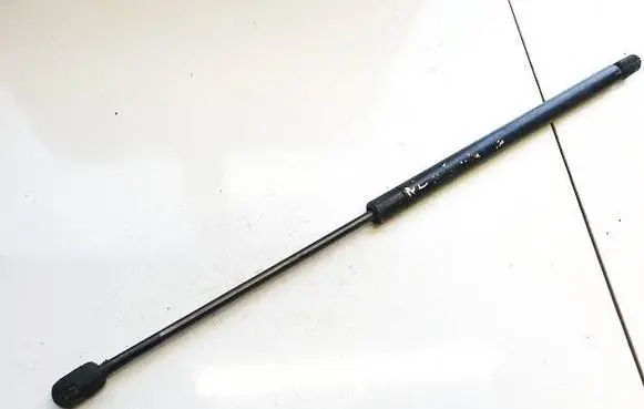 Tailgate/trunk strut/damper