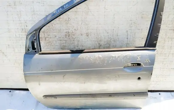 Renault Scenic I Front door pilkos
