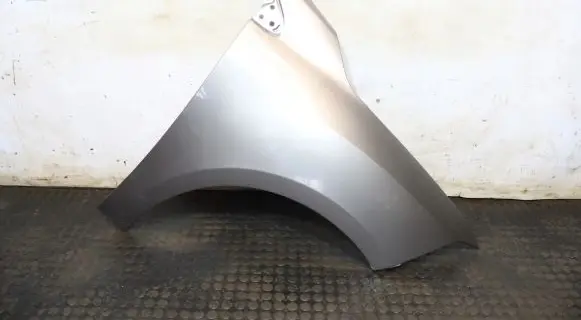 Renault Fluence Fender