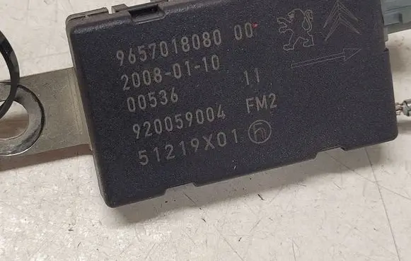 Citroen C4 Grand Picasso Aerial antenna amplifier 965701808000 920059004