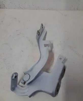 Lexus RX 450H Engine bonnet/hood hinges