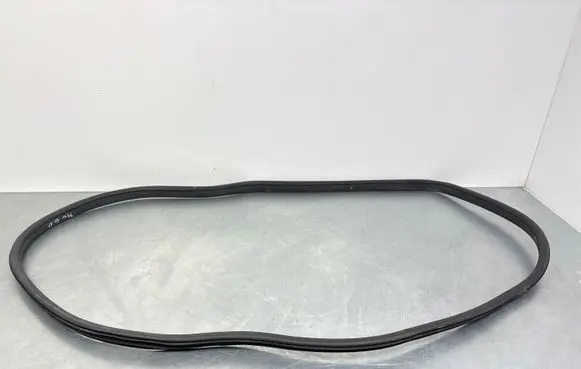 MG ZS Rear door rubber seal (on body) 18229798