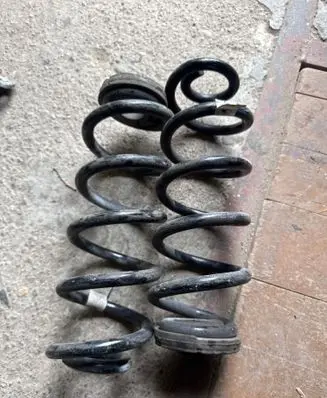Rear coil spring