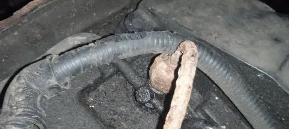 Fuel injector