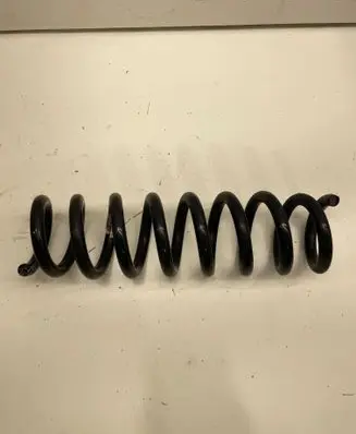Rear coil spring