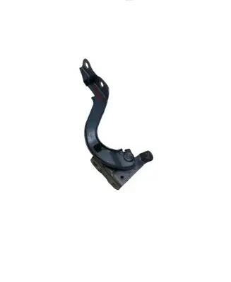 Toyota C-HR I Engine bonnet/hood hinges 