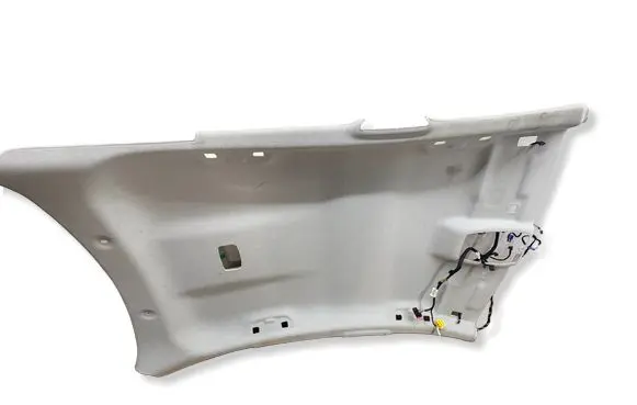Citroen C4 III e-C4 Headlining 98312482UW