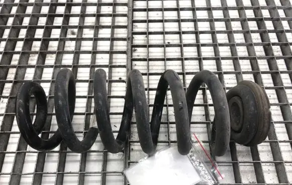 Rear coil spring