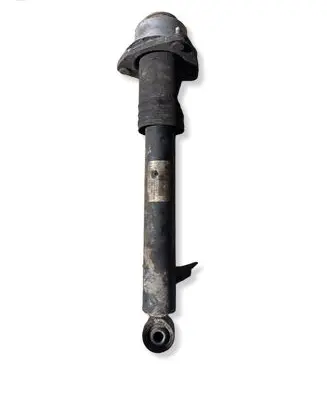 BMW X6 E71 Rear shock absorber/damper 6783017 14941510