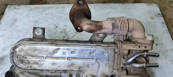 Seat Toledo III (5P) EGR valve cooler 038131513AD 3210275
