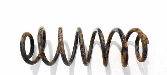 Volkswagen PASSAT B6 Rear coil spring