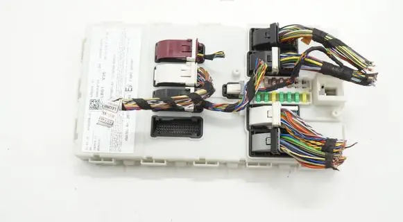BMW X1 F48 F49 Other control units/modules 8795008ACR