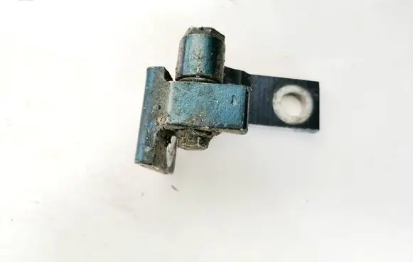 Rear door lower hinge