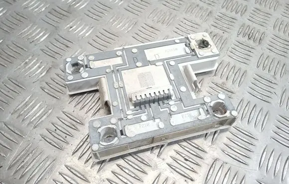Renault 19 Tail light bulb cover holder