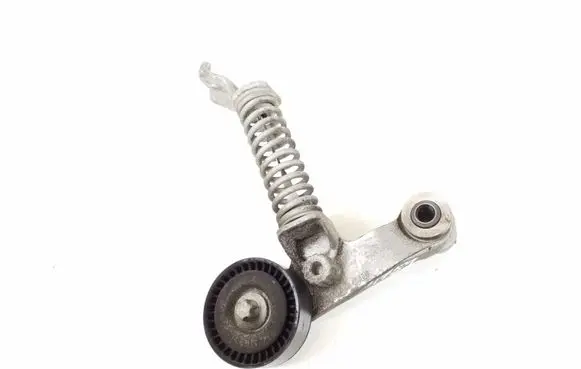 Infiniti Q30 Timing belt/chain tensioner A6512002400