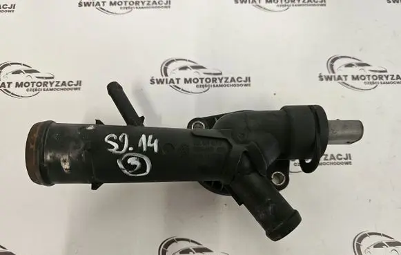 Thermostat/thermostat housing