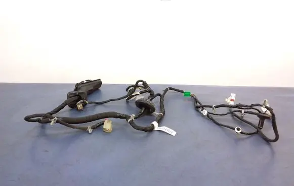 Cadillac CTS Other wiring loom 84132576