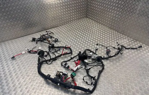 Tesla Model Y Other wiring loom P348905808D SM7324331A214457 74337