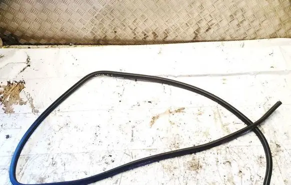 Nissan Leaf I (ZE0) Rubber seal rear door 