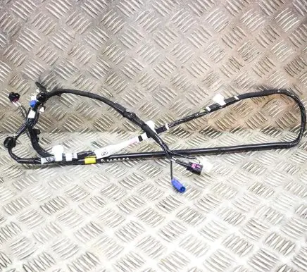 Tesla Model 3 Other wiring loom 106878700E