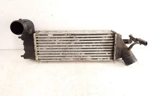 Peugeot 807 Intercooler radiator 1489396080 870229HF