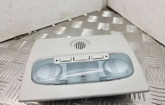 Ford Focus Front seat light 4M51A045B54DBW