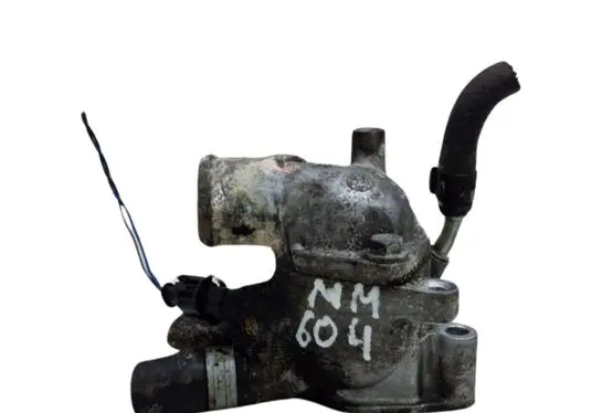 Thermostat/thermostat housing