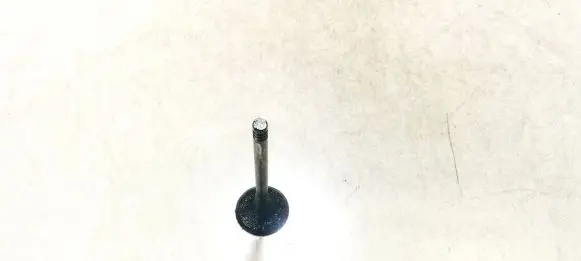 Volkswagen Tiguan Valve 