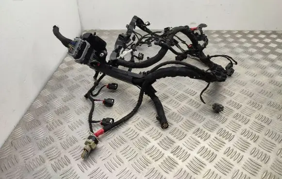 Ford Fiesta Engine installation wiring loom L1BT12C508