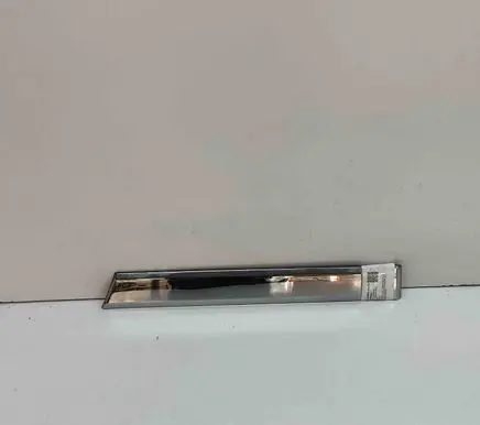 Jeep Commander Rear door trim (molding) 55157383AA