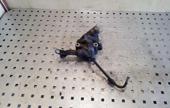 Thermostat/thermostat housing