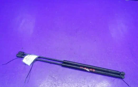 Peugeot 1007 Tailgate strut 