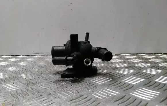 Thermostat/thermostat housing