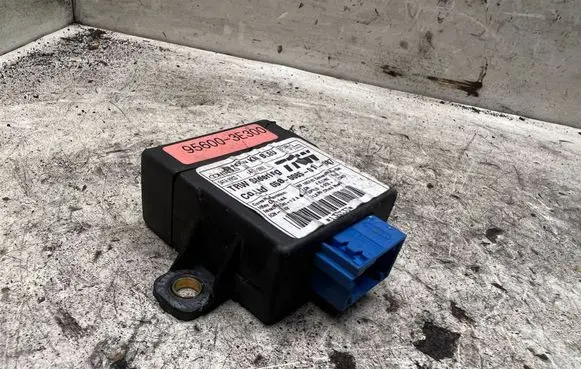 Door central lock control unit/module