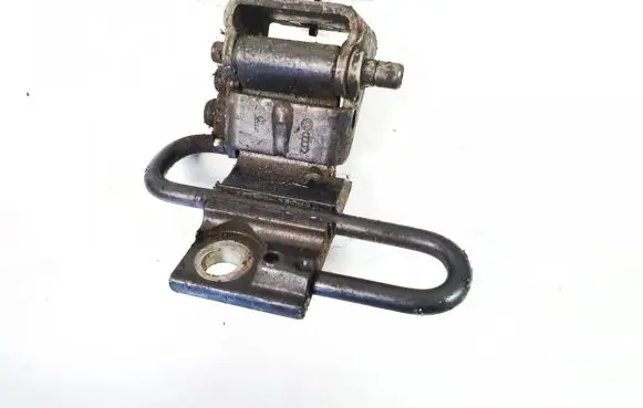 Rear door lower hinge