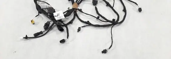 Other wiring loom