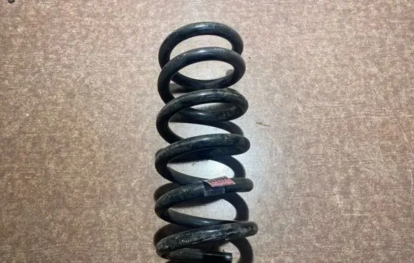 Ford Mustang VI Rear coil spring FR3C5560HC