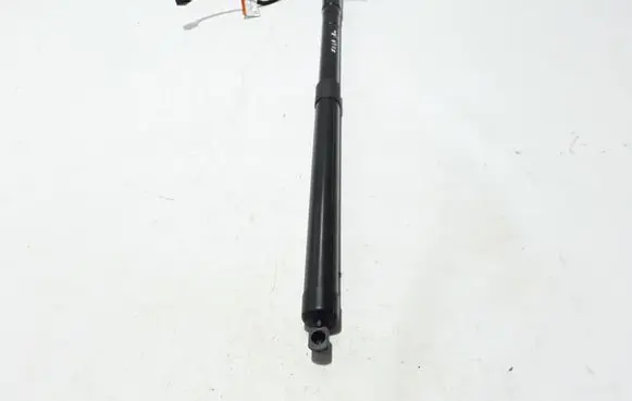 Tailgate strut
