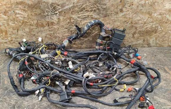 Maserati Coupe Other wiring loom 208023