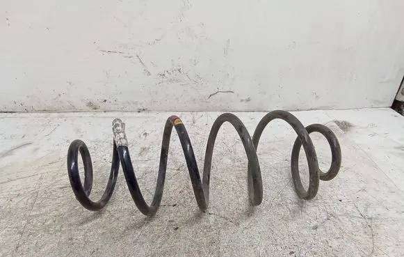 Rear coil spring