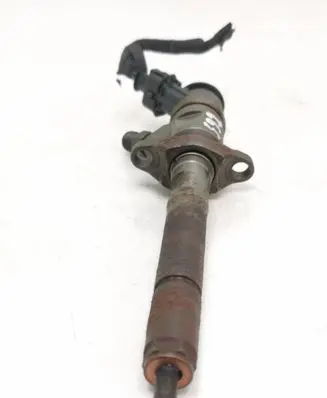Citroen C3 Fuel injector 0445110311 620033